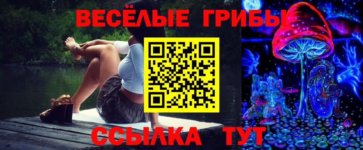 Кимры  Галлюциногенные грибы Cubensis  Вход с VPN 