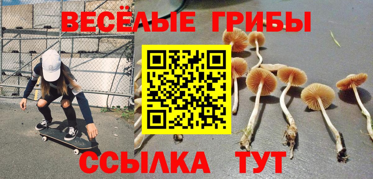 Псилоцибиновые грибы MAGIC MUSHROOMS Кимры